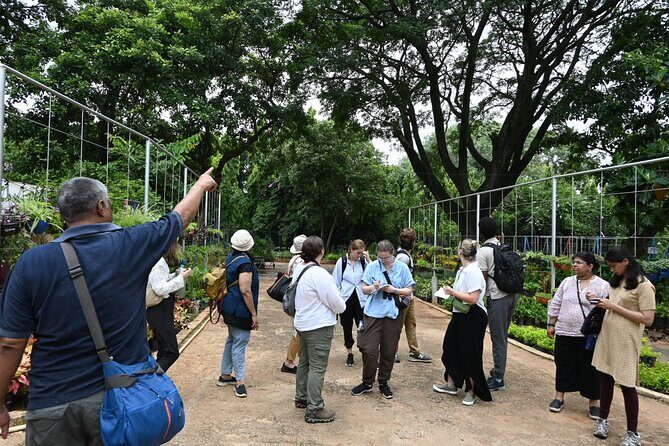 Lalbagh Botanical Garden Early Morning Walk + Breakfast at MTR - A Walk Through Bangalore’s Green Heart