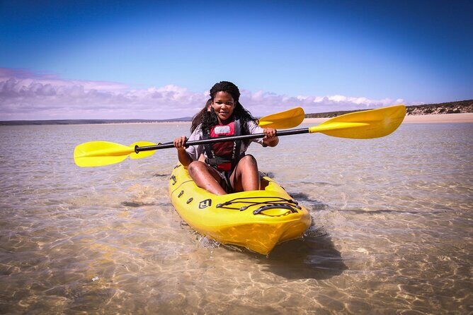 Langebaan Lagoon Island Kayak Experience - Who Should Book This Tour?