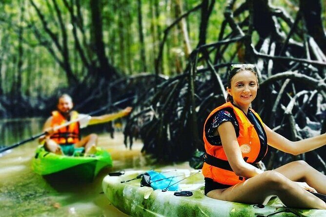 Langkawi Adventure Tour : Mangrove Kayaking with Private Pickup - Authentic Experiences and Honest Value