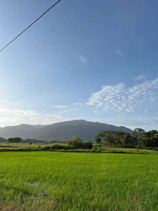 Langkawi: Countryside Bike Tour, Waterfall Swim & Dessert - Who Will Love This Tour?