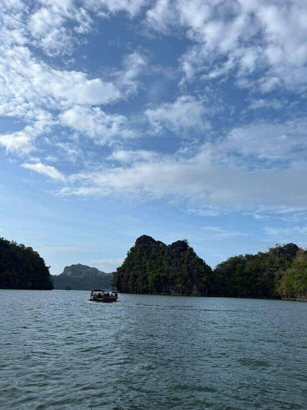Langkawi: Half-Day Private Kilim River Mangrove Boat Tour - Who Will Love This Tour?