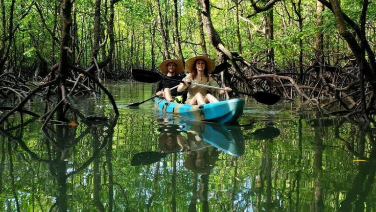 Langkawi : Kilim Geoforest Mangrove Kayak Tour with Lunch - What to Expect on the Tour