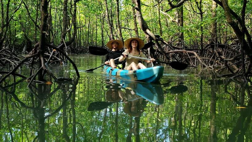 Langkawi : Kilim Geoforest Mangrove Kayak Tour with Lunch - What to Expect on the Tour