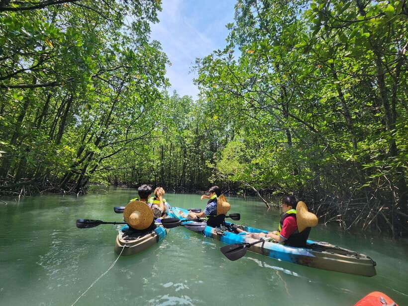 Langkawi : Kilim Mangrove Boat & Fun Kayak Tour with Lunch - What to Expect from Your Langkawi Mangrove Adventure