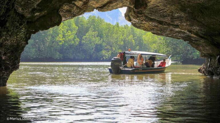 Langkawi: Mangrove Kilim UNESCO Geopark & Cave Tour - Detailed Breakdown of the Tour Experience