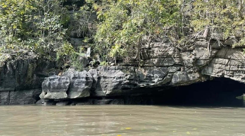 Langkawi Mangrove Tour : Estimated 3 hours Lunch Available - Practical Details and What to Expect