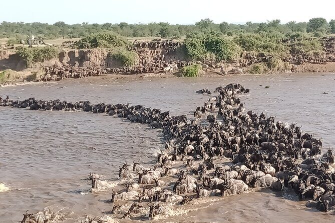 Latest Updates On The Top Best 3 day Serengeti Migration Safari - Who Should Consider This Safari?