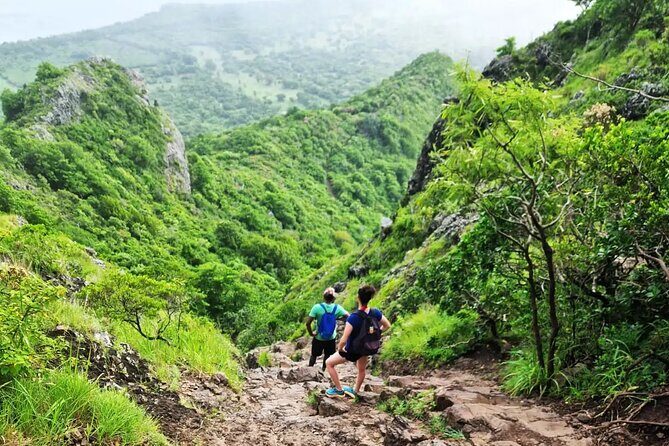 Le Morne Brabant Hike A Journey Through History - The Descent and Final Thoughts