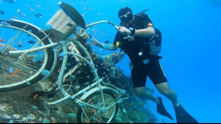 Learn Diving in Maldives - The Itinerary: What to Expect During the Course