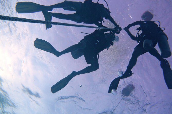 Learn to Dive | RAID Open Water 20 Diver Course | Kota Kinabalu - Who Will Love This Experience?