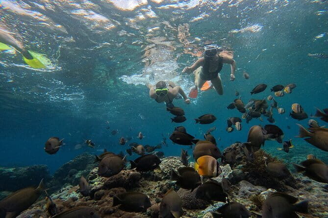Lembongan Snorkeling at Manta Point Crystal Bay and Mangrove - Authentic Experiences and Review Highlights