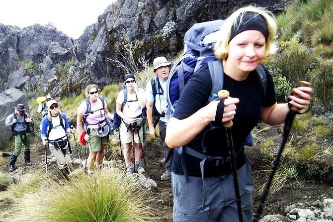 Lemosho Route 8 Days 7 Nights/Kilimanjaro Climb - What Past Travelers Say