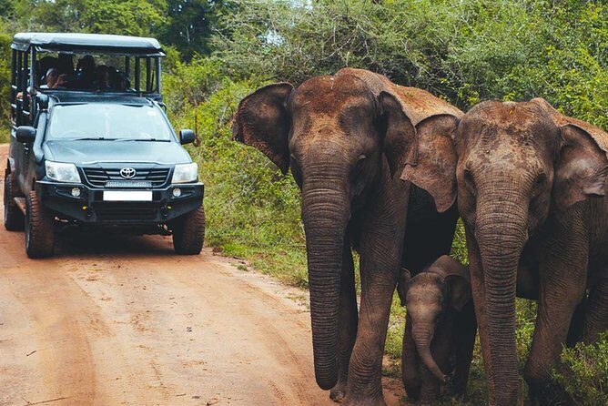 Leopard Safari Tour in Yala National Park - Who Should Consider This Tour?