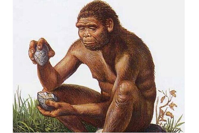 Lesedi Cultural Village & Cradle of Humankind - Who Will Love This Tour?