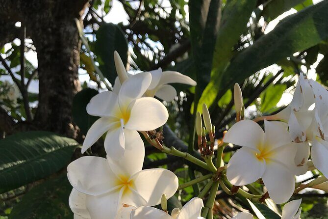 LGBTQIA, we look forward to seeing you | Island tour | Mahé | Seychelles - Who Will Love This Tour?