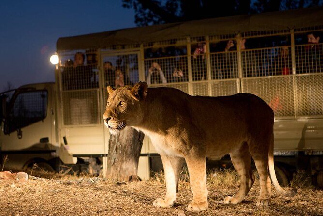 Lion and Safari Park tour.Pick up and drop off Privately - Who Will Love This Tour?