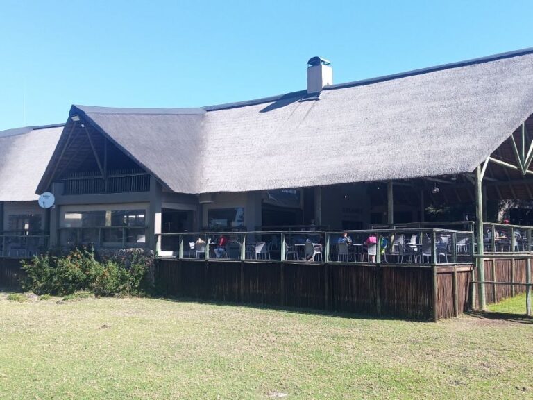Lion park - The Highlights of the Experience