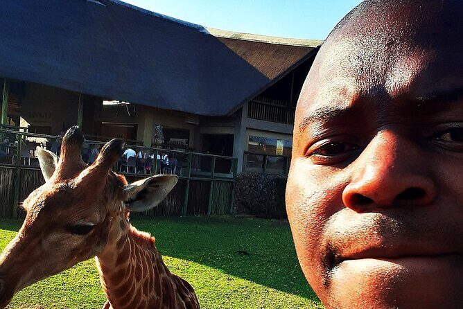 Lion safari park tour(Half-day) - What Travelers Say: Authentic Experiences and Practical Insights