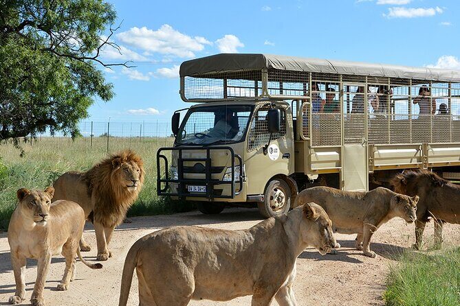 Lion & Safari Park - Frequently Asked Questions