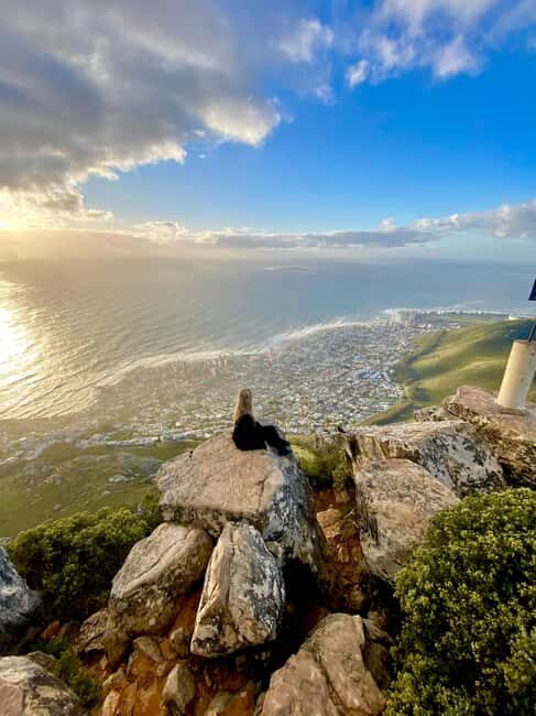 Lion's Head Hike: Cape Town - Sunrise or Sunset Hike - The Value of the Experience