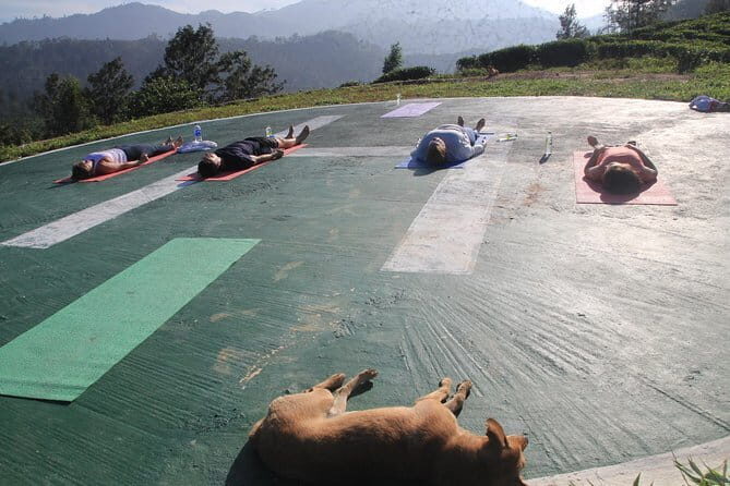 Little Adams peak Sunrise Hike and Yoga Lesson . - Who Will Love This Experience?
