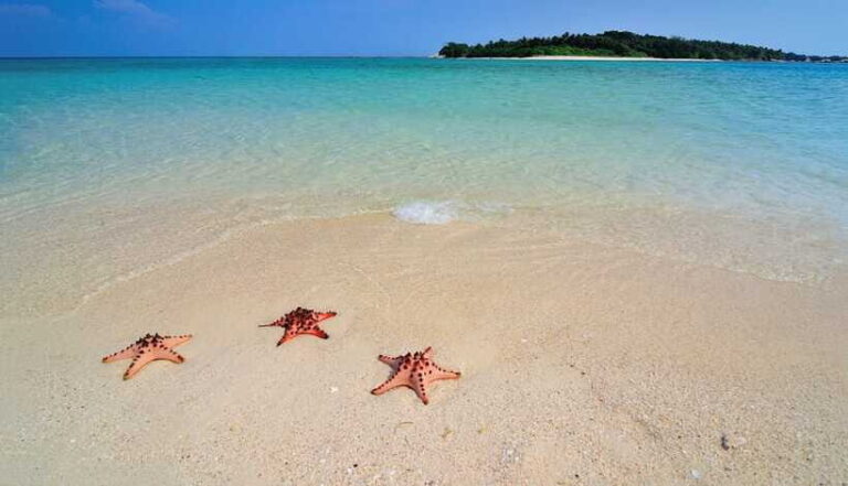 LITTLE BORACAY- CALATAGAN BATANGAS DAY TOUR (FROM MANILA) - What’s Included and What’s Not
