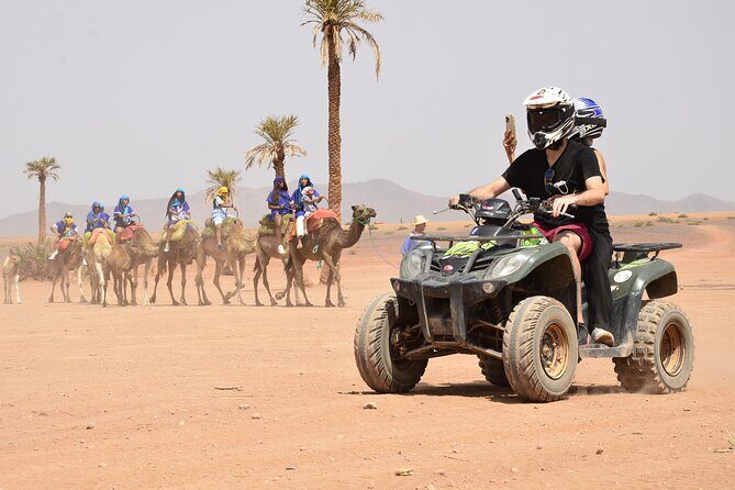 Live an unforgettable adventure, quad ride in the palm grove - Final Thoughts: Is This Tour Right for You?