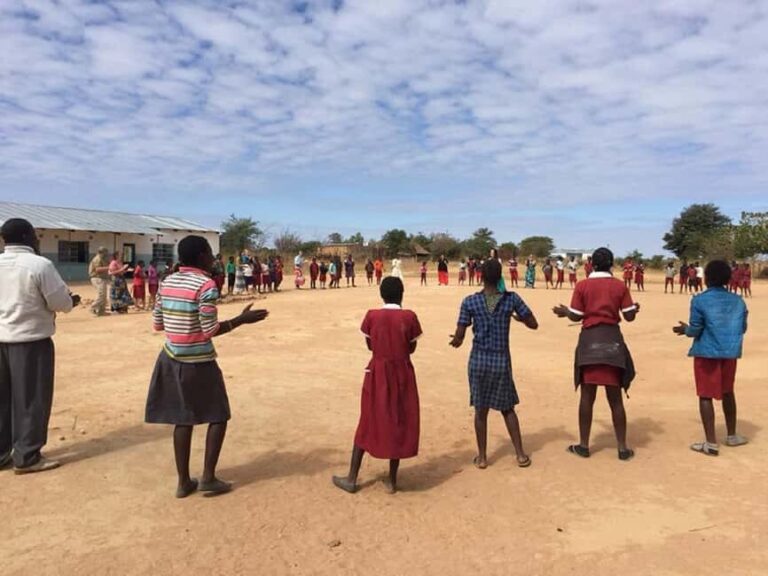 Livingstone: Mukuni Village Guided Tour - Who Should Consider This Tour?