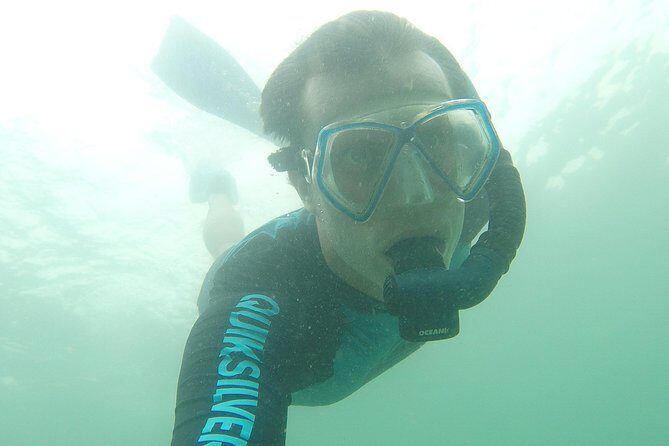 Local Reef Snorkelling and Deserted Beach - What’s the Value?