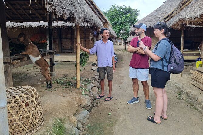 Lombok Private Customize Full Day Trip - What Do Travelers Say?