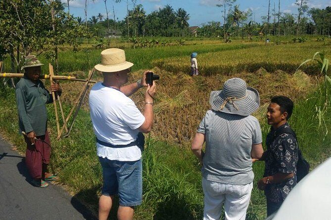 Lombok Private Sasak Tour (Culture & Beaches) - The Practicalities: Transportation, Cost, and Timing