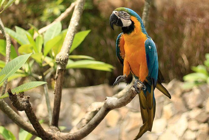 Lombok Wildlife Park Skip the Line Ticket - Frequently Asked Questions