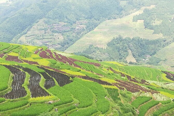 Longji Rice Terraces Hiking Tour Full Day Adventure - The Experience in Detail: What You Can Expect