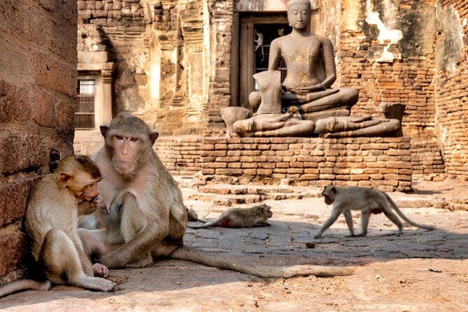 Lopburi Monkey Temple & Ayutthaya Old City Tour From Bangkok - What Makes This Tour Stand Out?