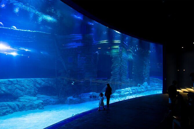 Lotte World Aquarium Hanoi Admission Ticket - Why This Tour Offers Good Value