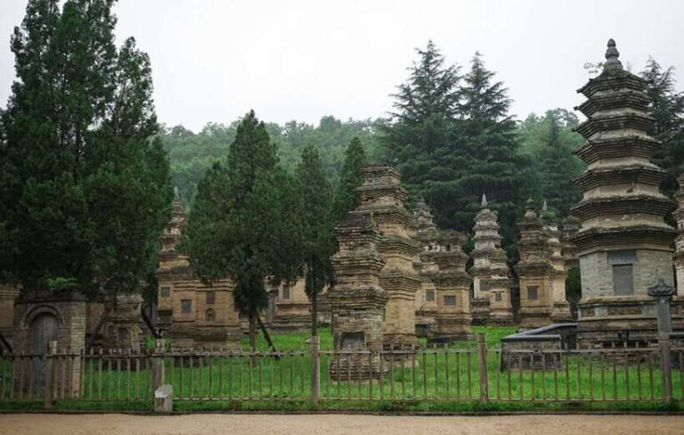 Louyang Day Tour from Xian: Longmen Grottoes, Shaolin Temple - Analyzing the Value
