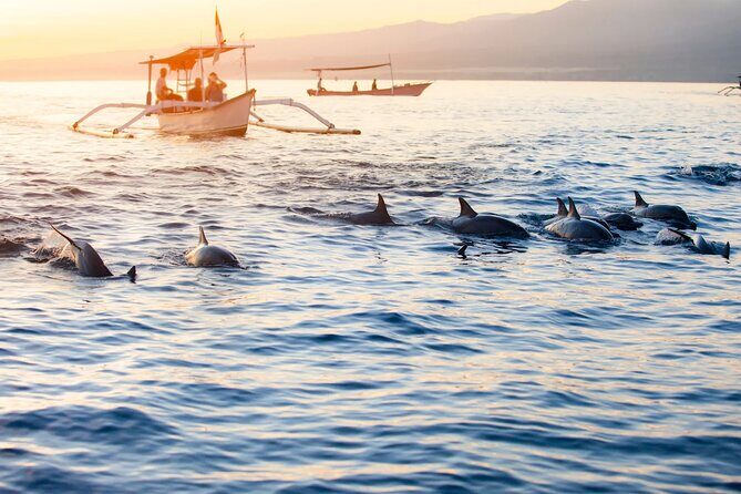 Lovina Sunrise Dolphin & Waterfall Tour - Practical Details and What You Should Know