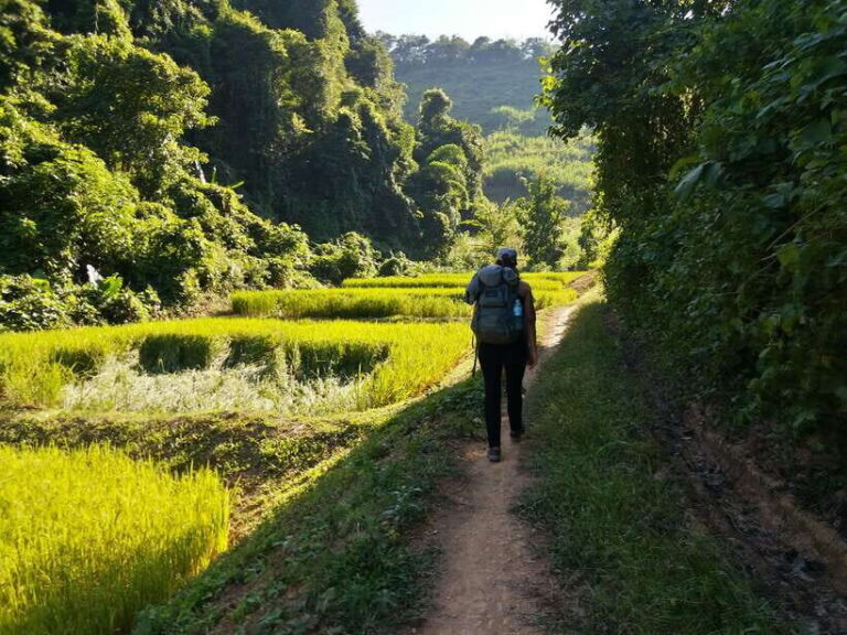 Luang Prabang: 3-Day Cultural Remote Trek With Homestay - Breaking Down the Itinerary: What You Can Expect