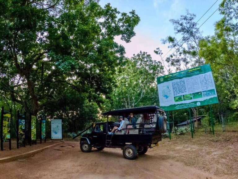 Lunugamwehera NP (Block VI) Morning Safari Game Drive - An In-Depth Look at the Safari Experience