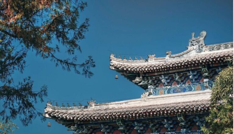 Luoyang: Longmen Grottoes and White Horse Temple Guided Tour - Why You Should Consider This Tour