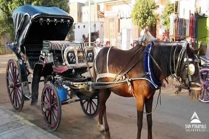 Luxor City Tour By Horse Carriage in Egypt - What to Expect from the Guides