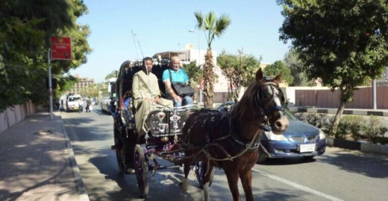 Luxor City Tour by Horse Carriage Visit Local - Visiting Iconic Landmarks and Hidden Corners