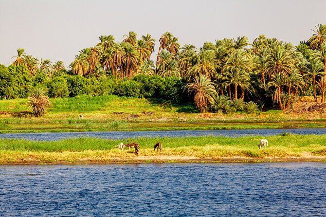 Luxor Nile River Private Felucca Ride at Sunset - The Itinerary in Detail