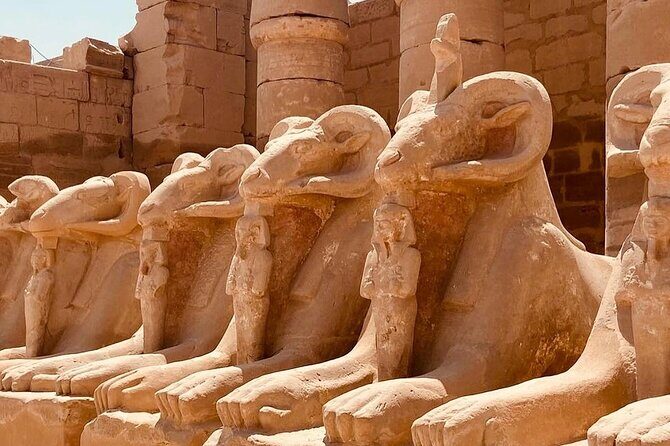 Luxor private tour to East and West bank - Why This Tour Offers Great Value