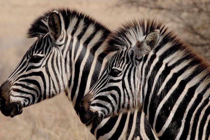 Luxury 5-Day Lesotho, Drakensberg & Safari Tour from Durban - Who is This Tour Best Suited For?