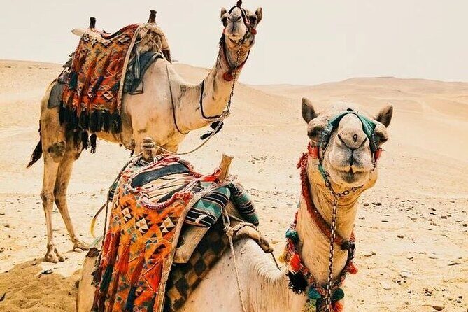 Luxury 5 Days Desert Tour From Marrakech 2025 - Who Is This Tour Best For?