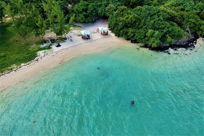 Luxury All-Inclusive Catamaran Cruise to Ile aux Cerfs and GRSE Waterfall - Authentic Experiences and Traveller Feedback