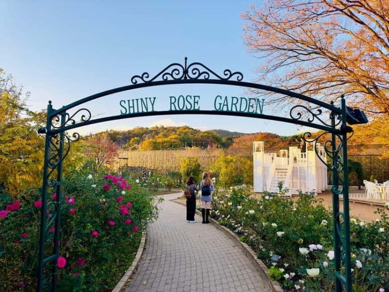 Luxury Ashikaga Flowers Park Tour With Pickup & Drop off - Who Is This Tour Best For?