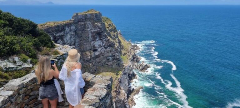 Luxury Cape of Good Hope & Penguin Tour - Who Should Consider This Tour?