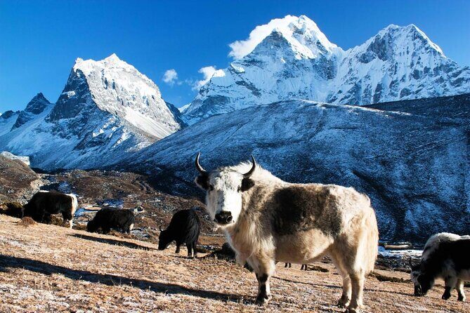 Luxury Everest Base Camp Trek -11 Days - The Itinerary in Detail